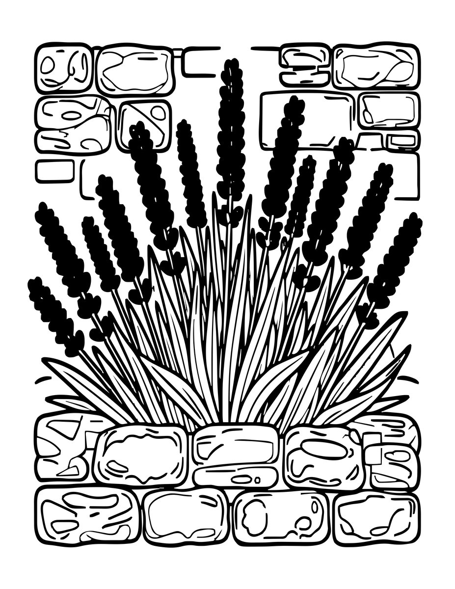Lavender and Stone Wall - free printable coloring page