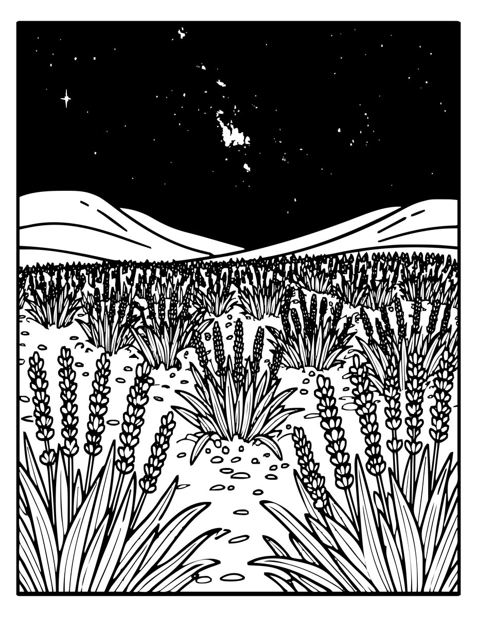 Lavender and Stars - free printable coloring page