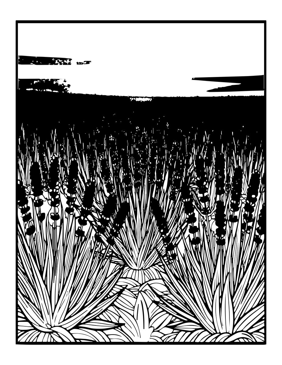 Lavender at Sunset - free printable coloring page