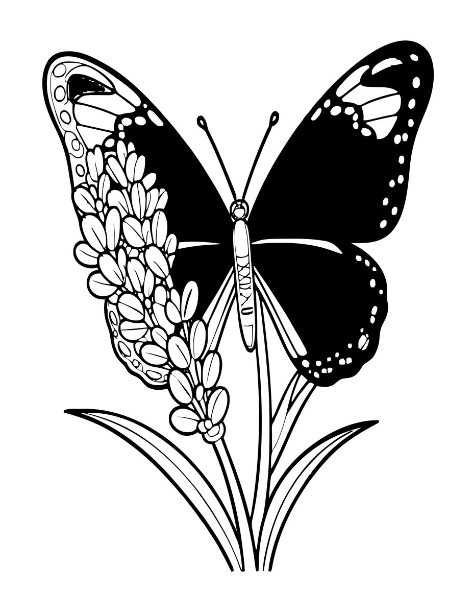 Lavender and Butterfly - free printable coloring page