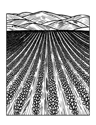 Provence Rows - Free printable coloring page