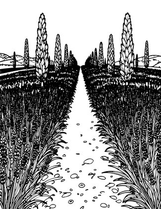 Lavender Path - Free printable coloring page