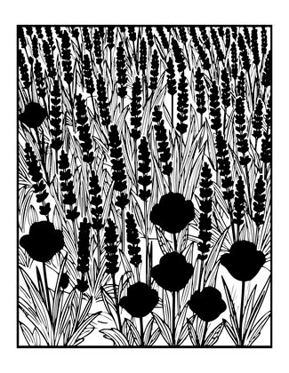 Lavender and Poppy - Free printable coloring page