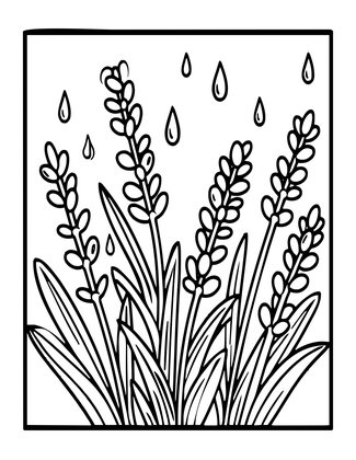 Lavender in Rain - Free printable coloring page