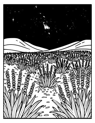 Lavender and Stars - Free printable coloring page