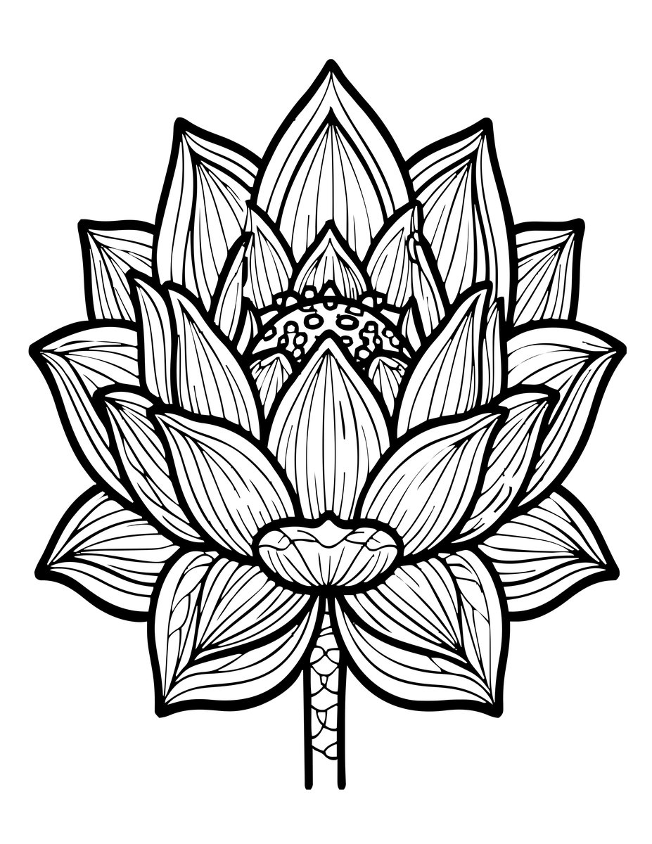 Lotus Cross-Section - free printable coloring page