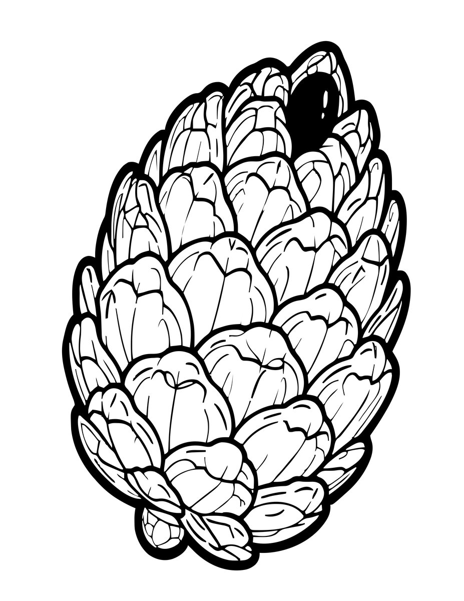 Seed Pod - free printable coloring page