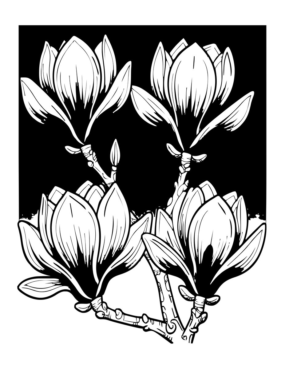 Saucer Magnolia - free printable coloring page