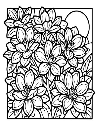 Night Magnolia - Free printable coloring page