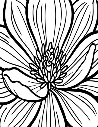 Magnolia Center - Free printable coloring page