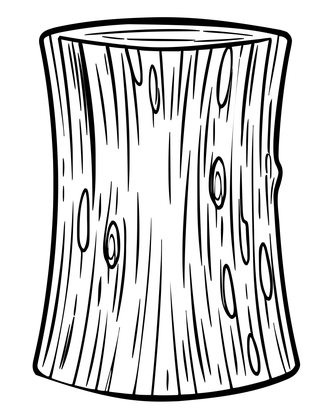 Magnolia Bark Detail - Free printable coloring page