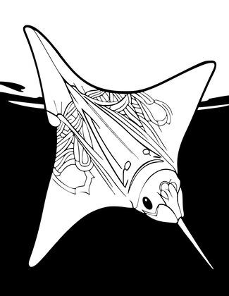 Manta Glide - Free printable coloring page
