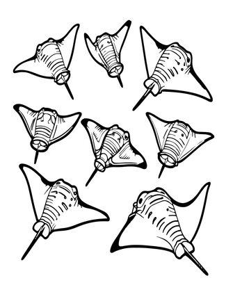 Manta School - Free printable coloring page