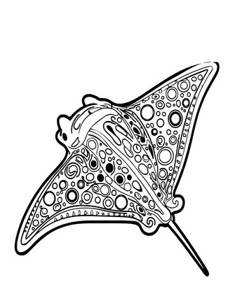 Manta Belly Spots - Free printable coloring page