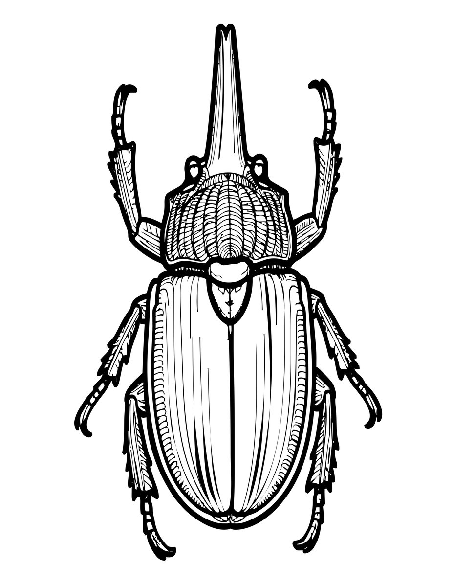 Hercules Beetle - free printable coloring page