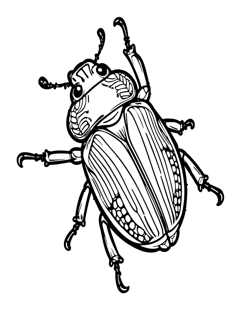 Click Beetle - free printable coloring page