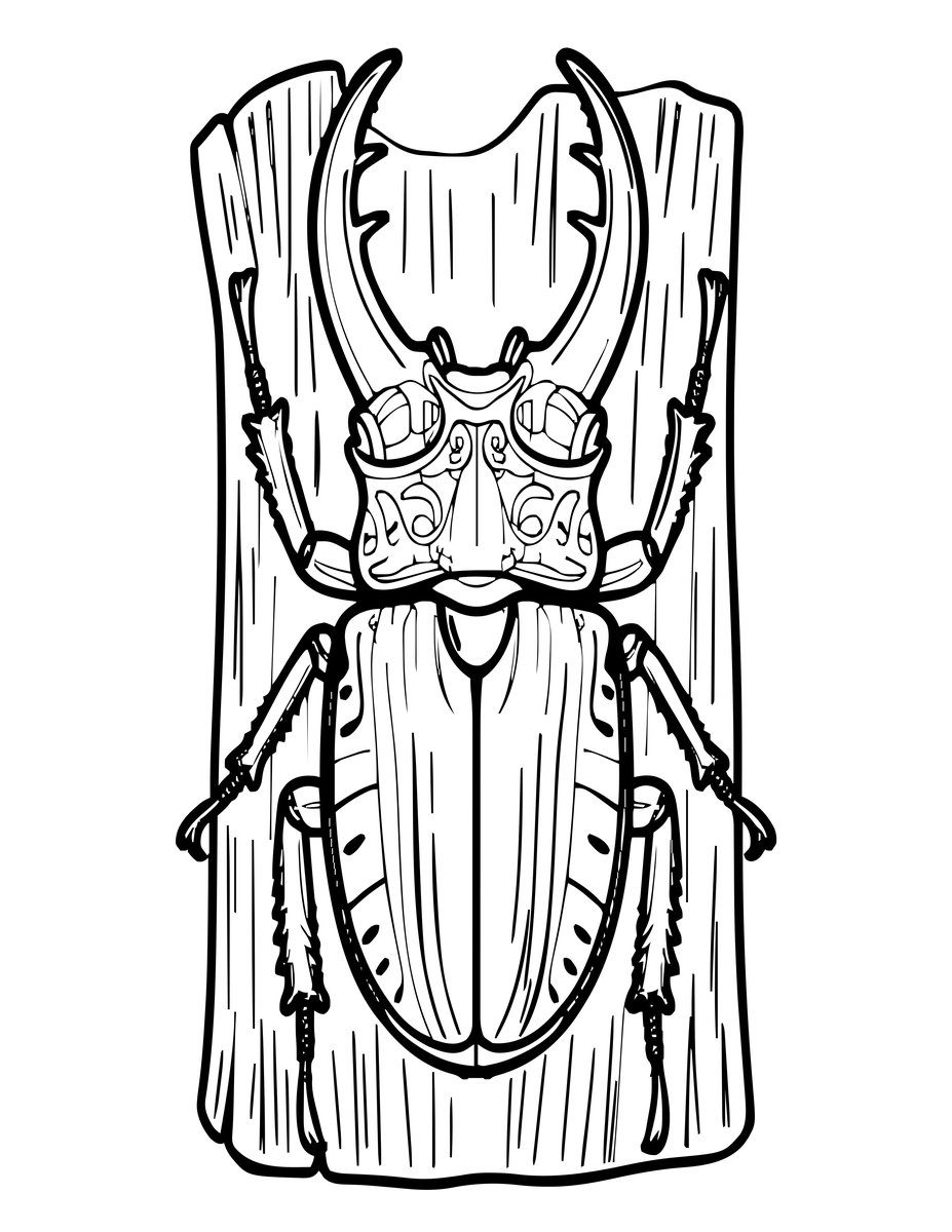 Stag Beetle - free printable coloring page