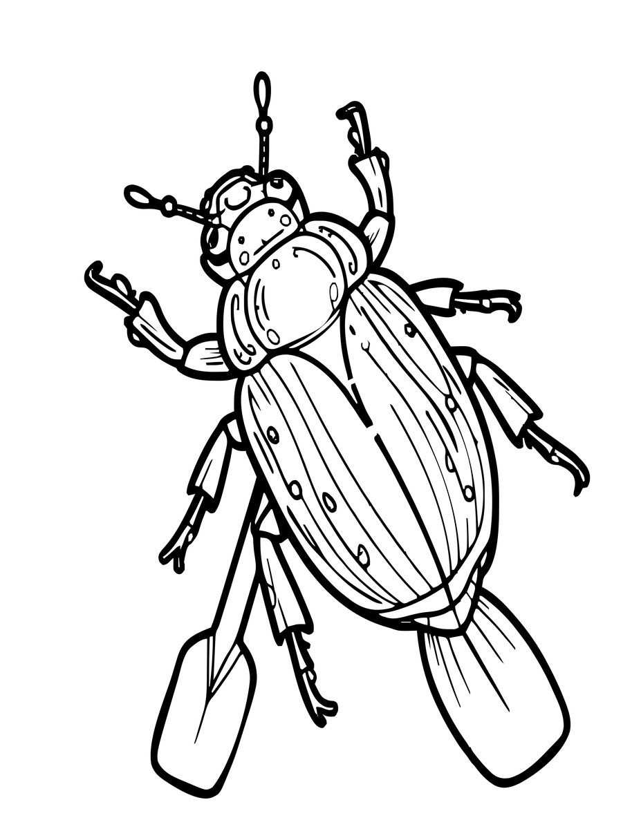 Water Beetle - free printable coloring page