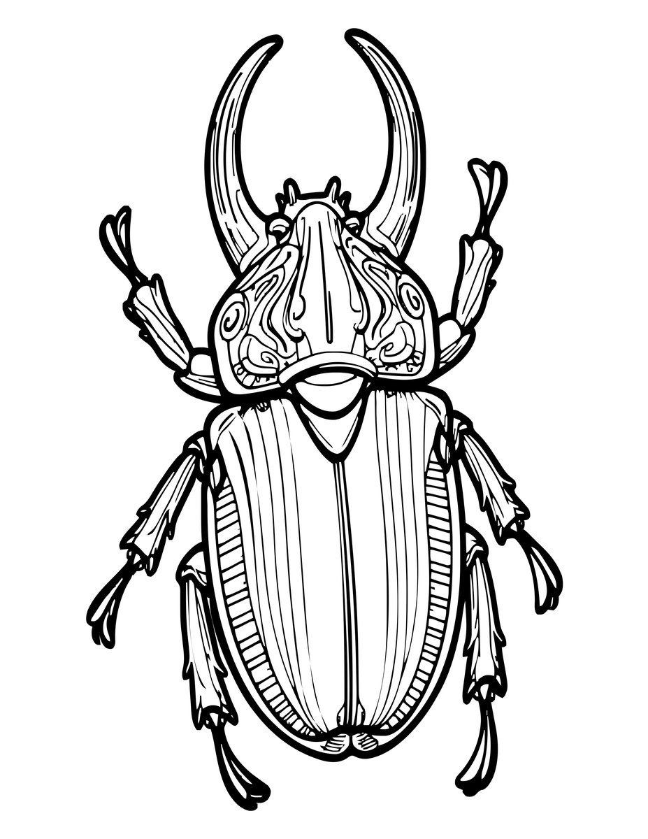 Rhinoceros Beetle - free printable coloring page