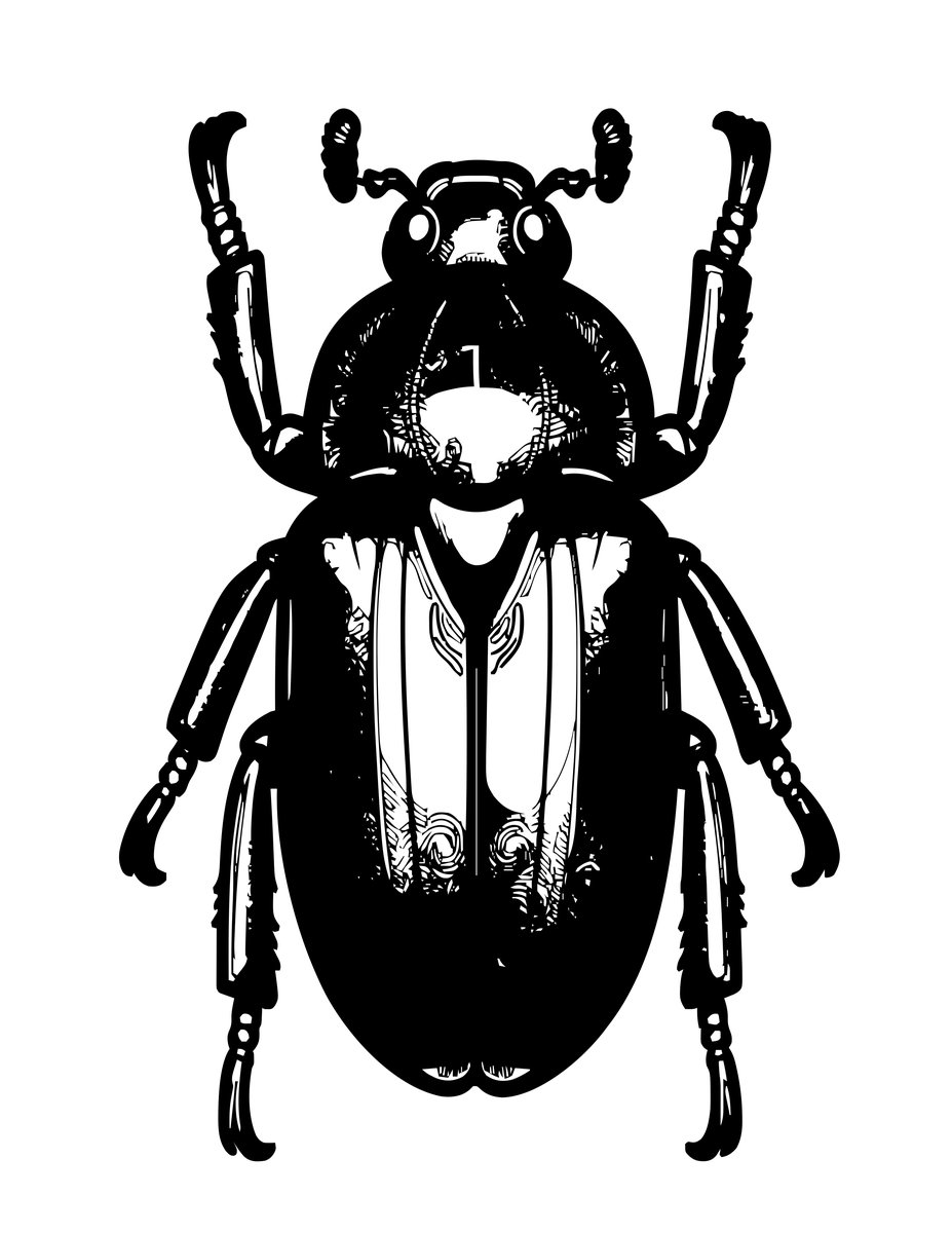 Jewel Beetle - free printable coloring page
