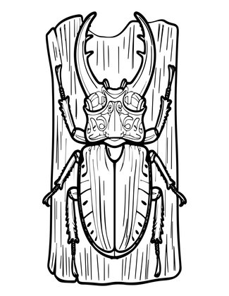 Stag Beetle - Free printable coloring page