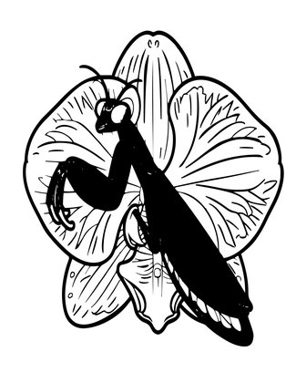 Orchid Mantis - Free printable coloring page