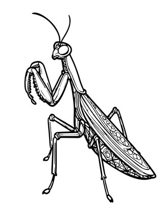 Mantis Strike - Free printable coloring page