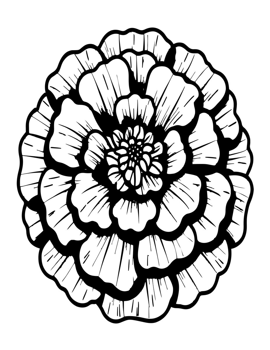 Marigold Bloom - free printable coloring page
