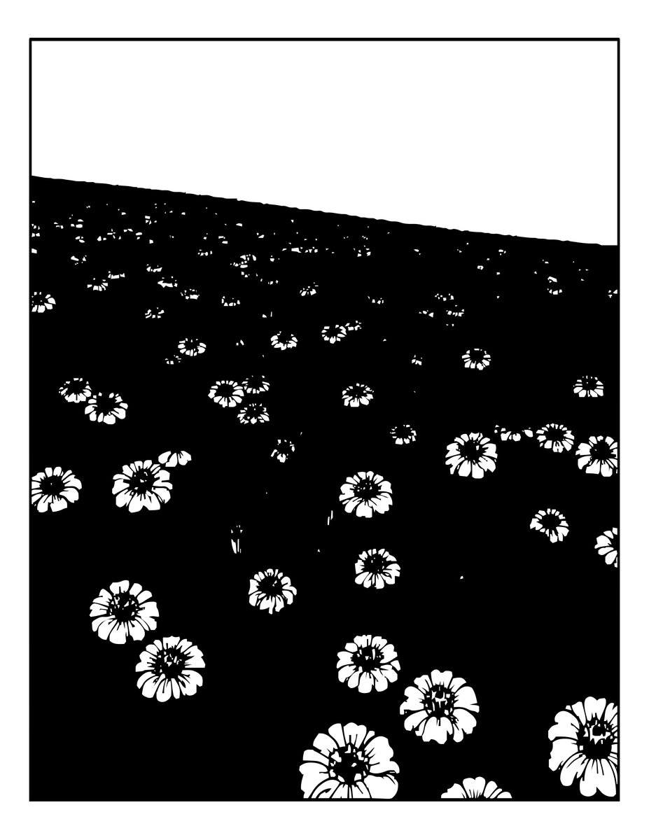 Marigold Field - free printable coloring page