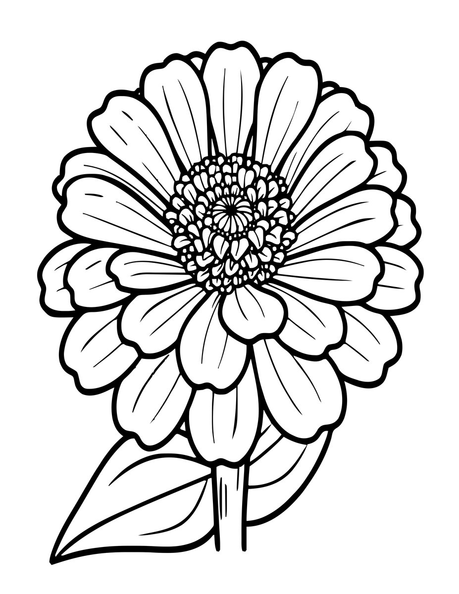 Cactus Zinnia - free printable coloring page