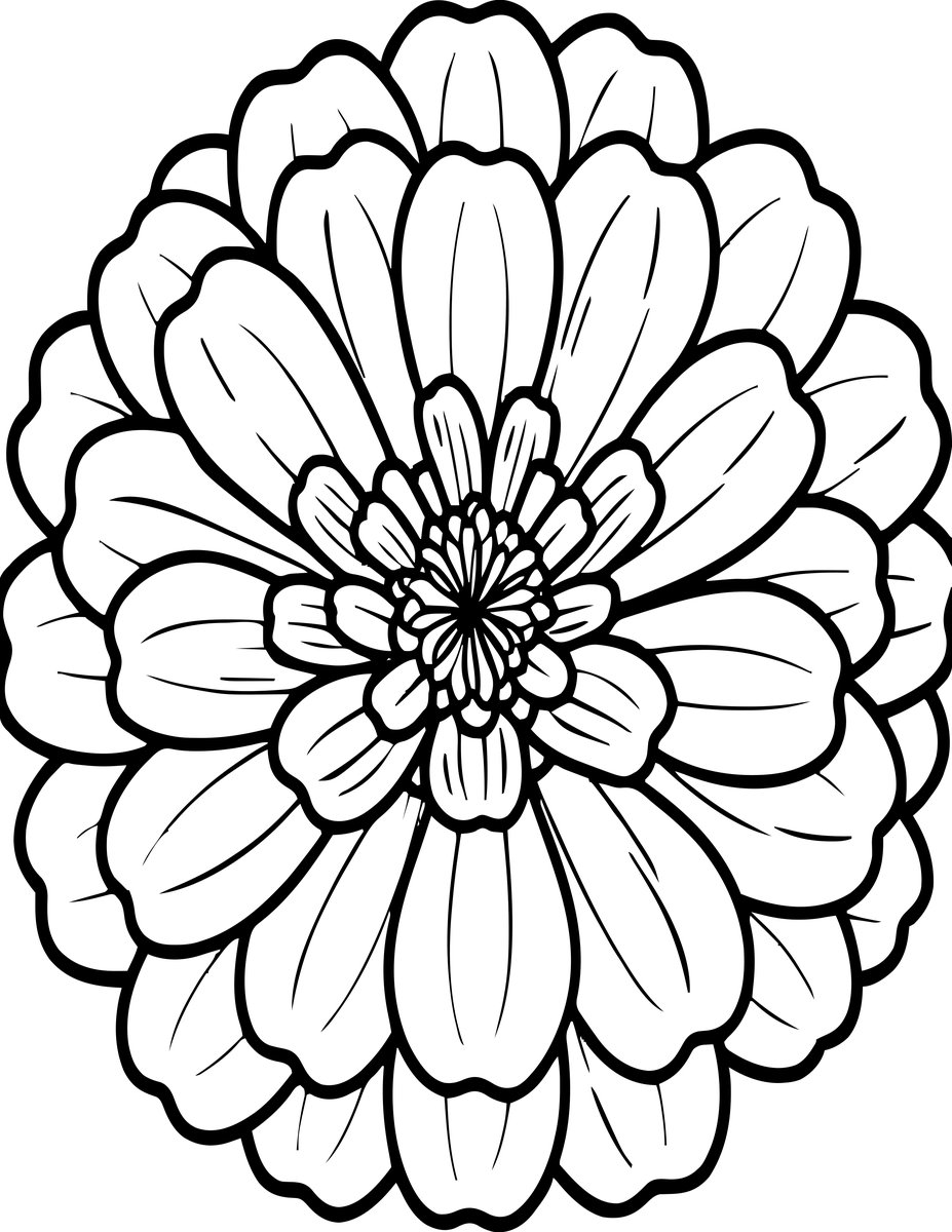 Zinnia Close-Up - free printable coloring page