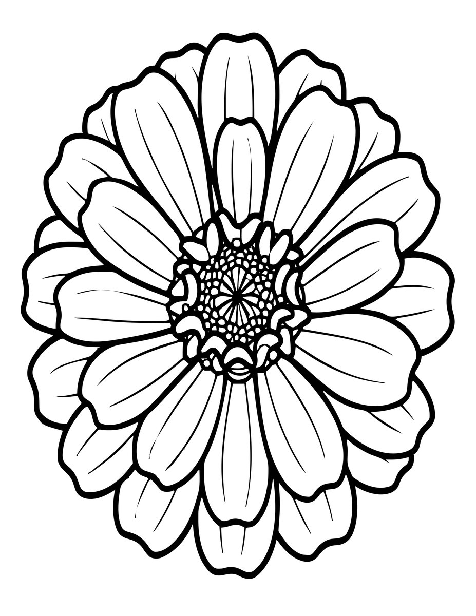 Zinnia Seedhead - free printable coloring page