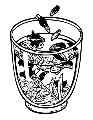 Marigold Tea - Free printable coloring page