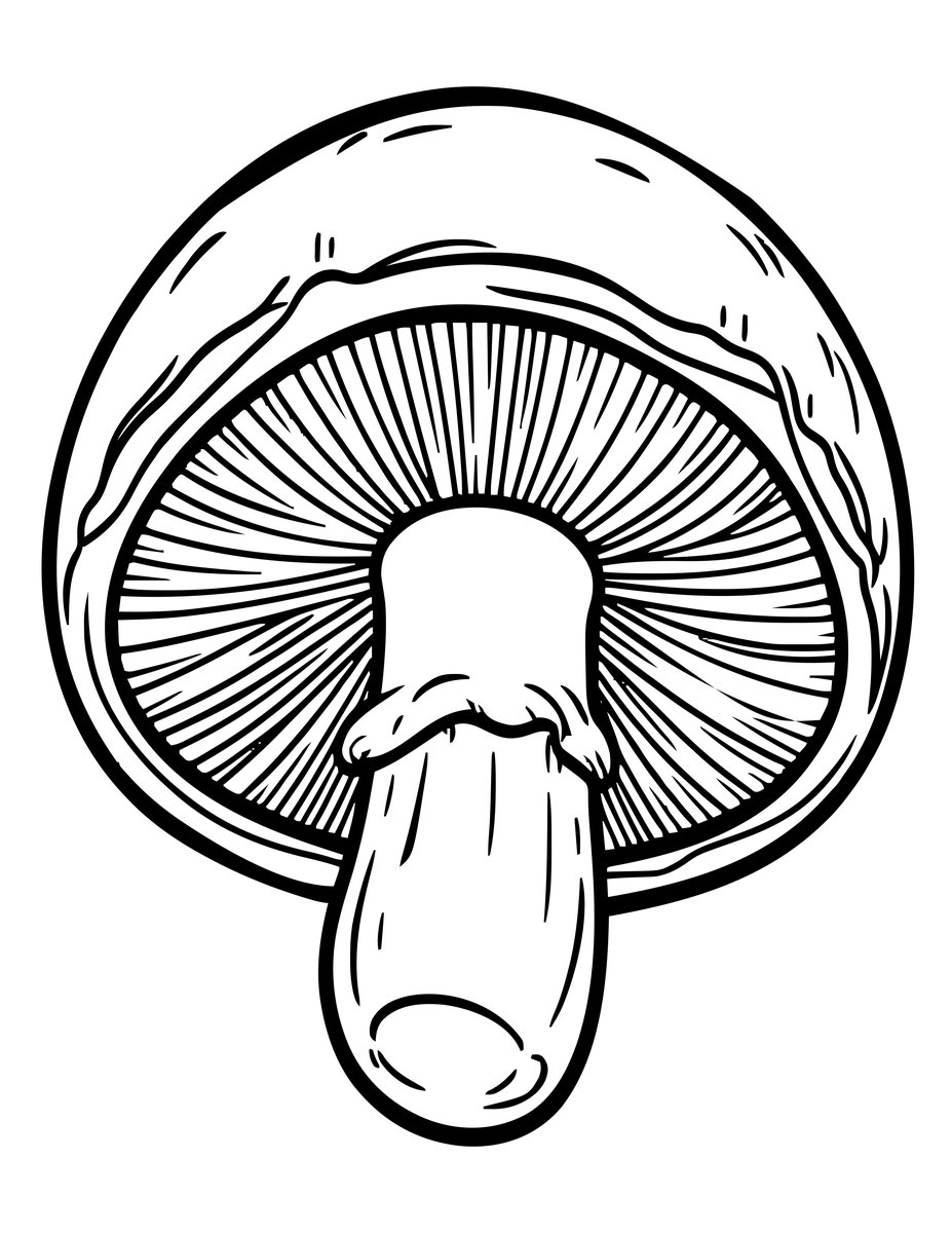 Portobello - free printable coloring page