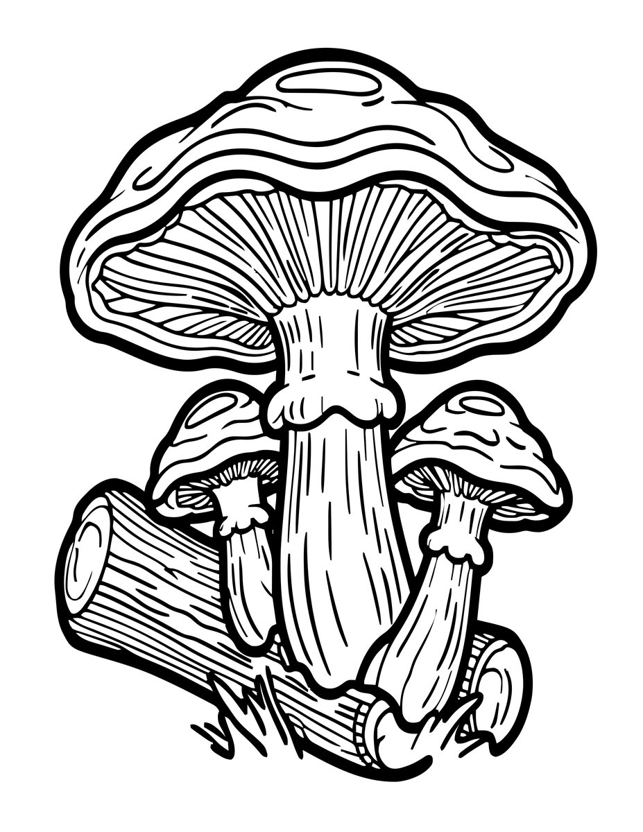 Turkey Tail - free printable coloring page