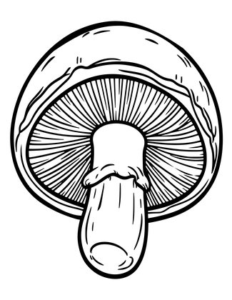 Portobello - Free printable coloring page