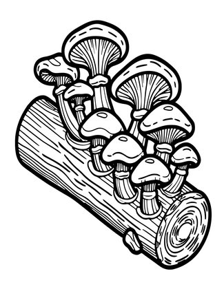 Oyster Mushroom - Free printable coloring page