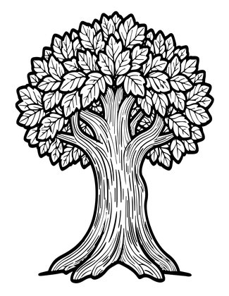 Dryad - Free printable coloring page