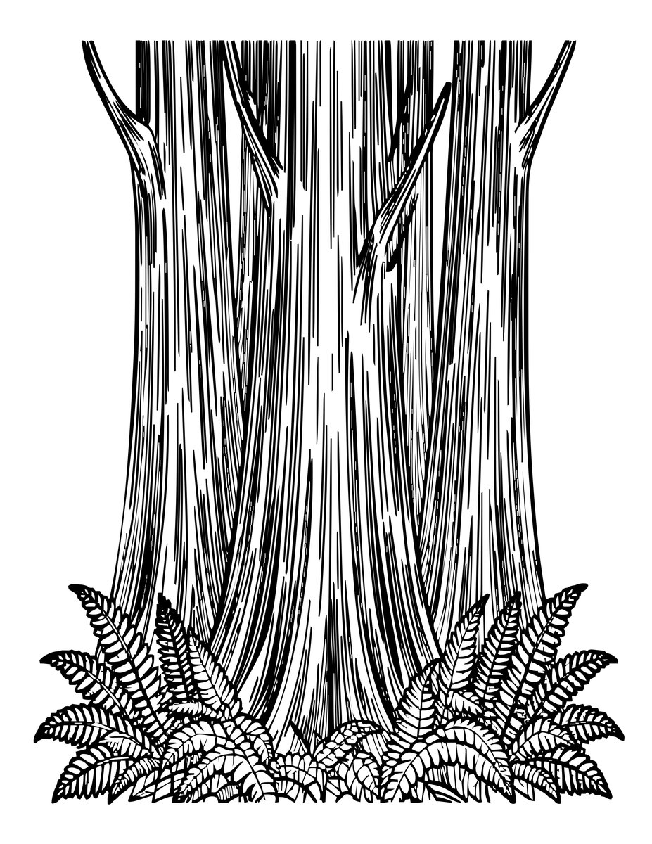 Redwood Grove - free printable coloring page