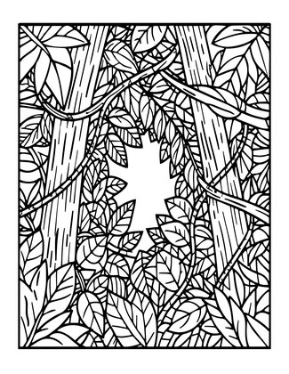 Rainforest Canopy - Free printable coloring page