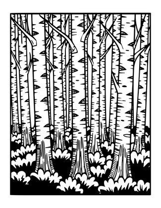 Birch Forest - Free printable coloring page