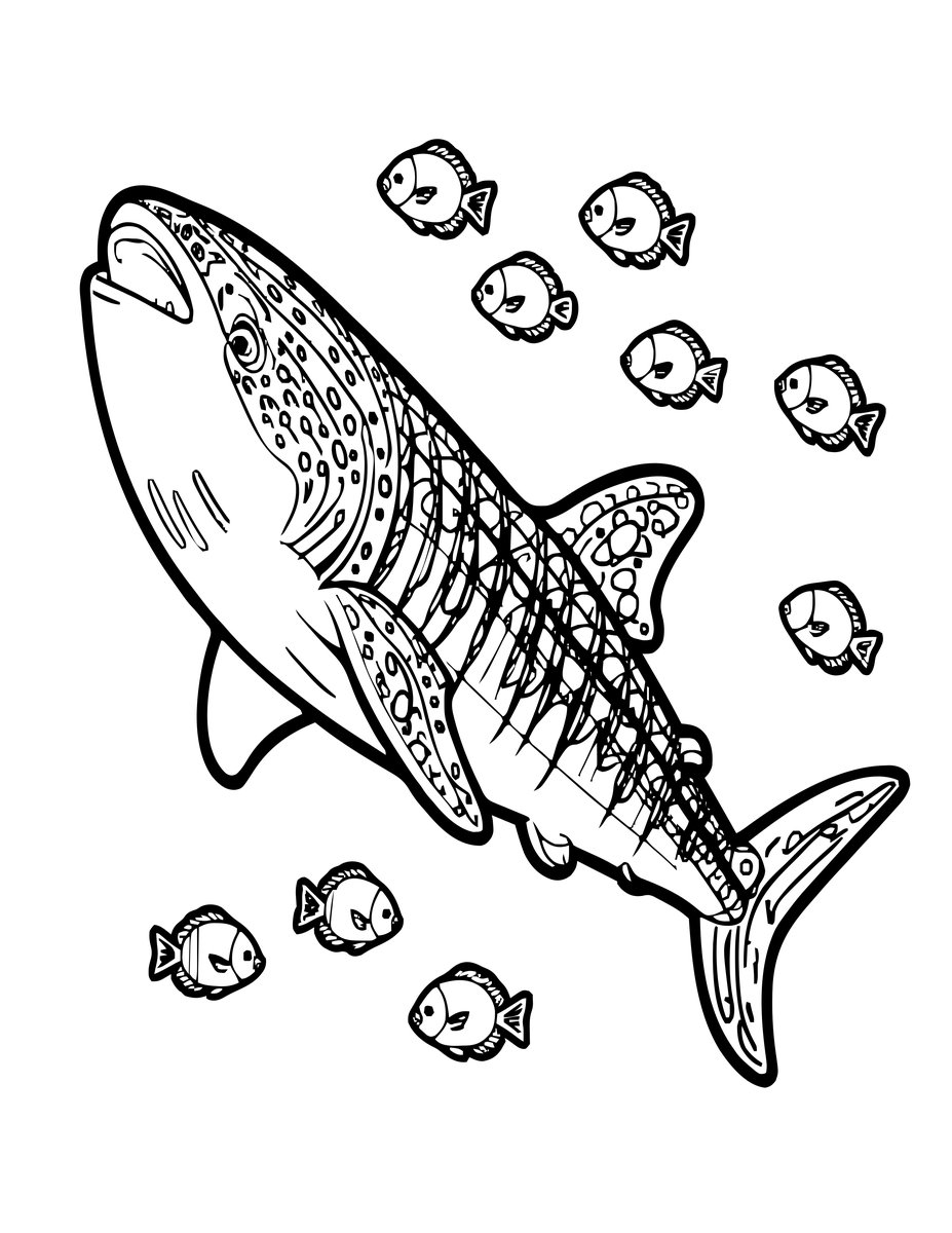 Whale Shark - free printable coloring page