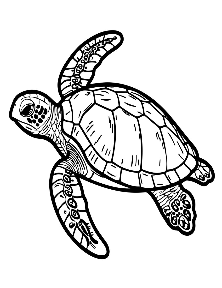 Sea Turtle - free printable coloring page