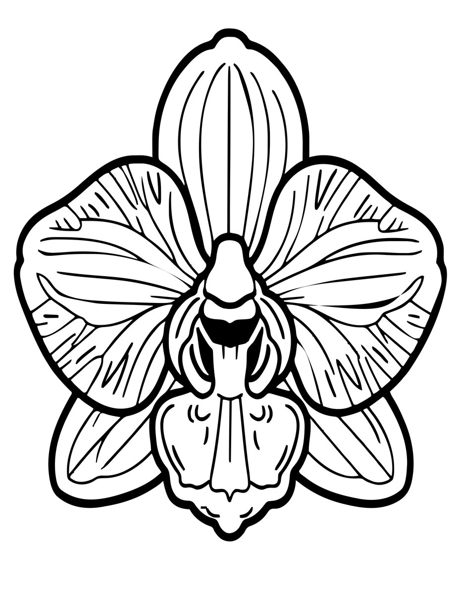 Bee Orchid - free printable coloring page