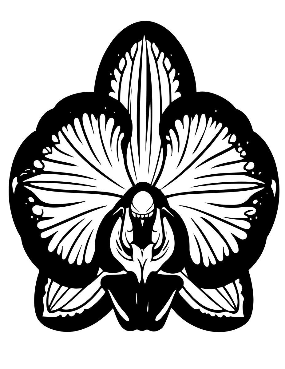 Black Orchid - free printable coloring page