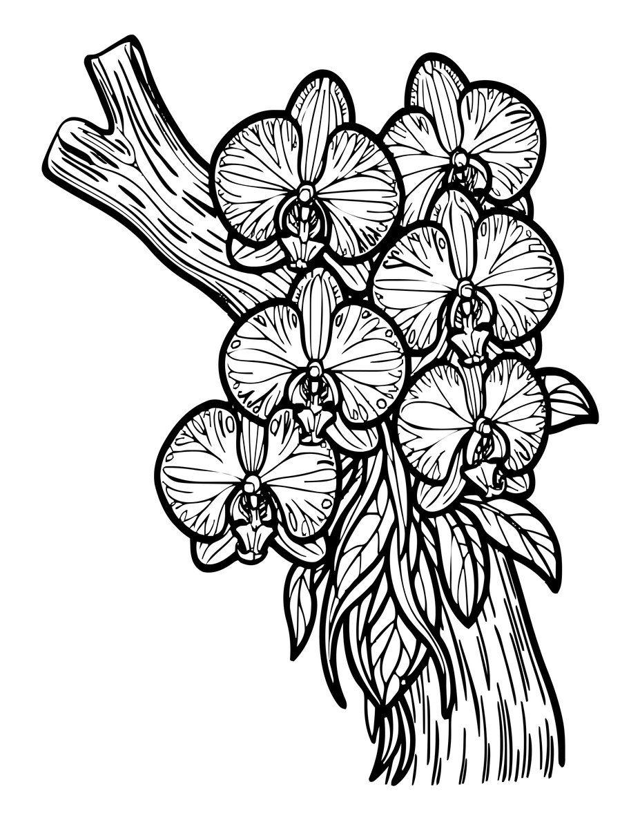Tropical Epiphyte - free printable coloring page