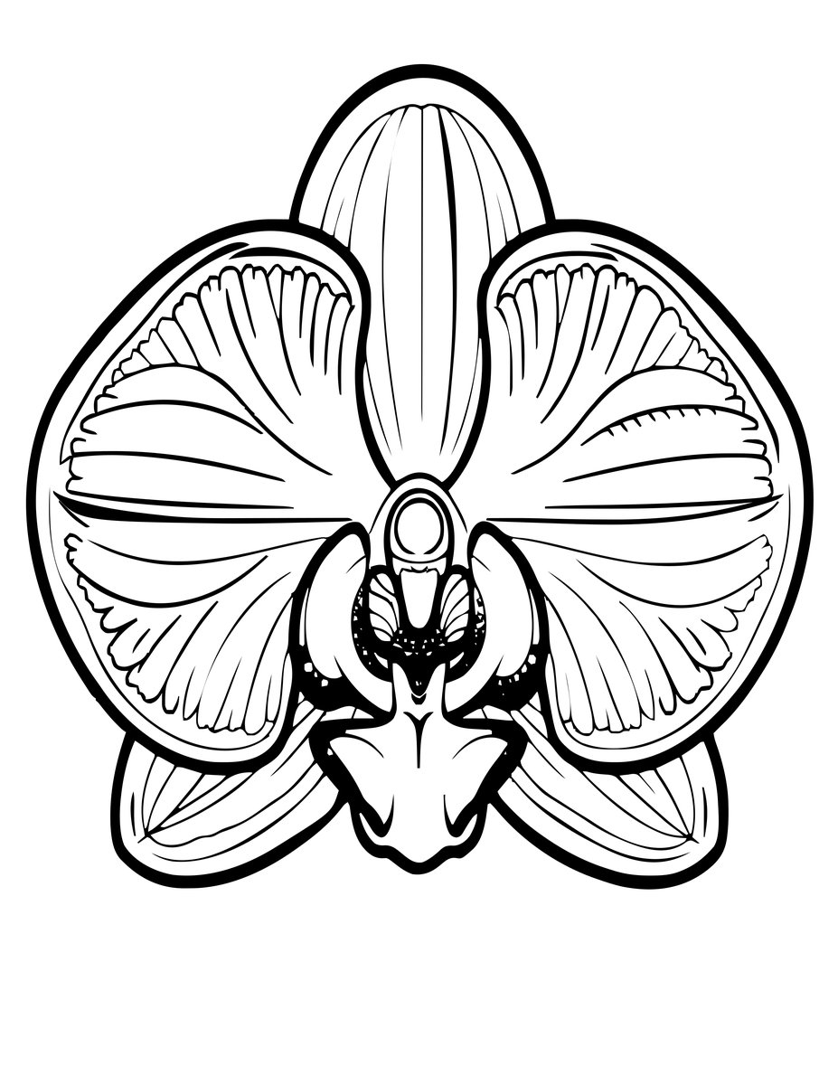 Ophrys Insect Orchid - free printable coloring page