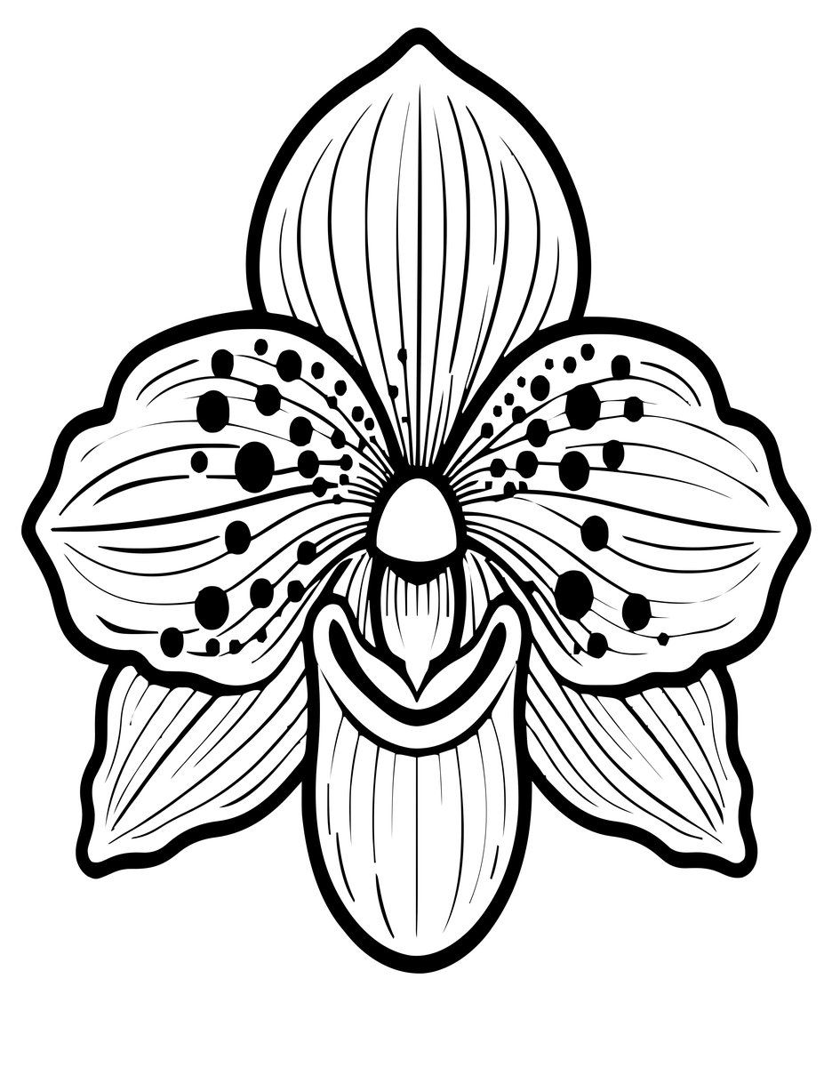 Paphiopedilum Slipper - free printable coloring page