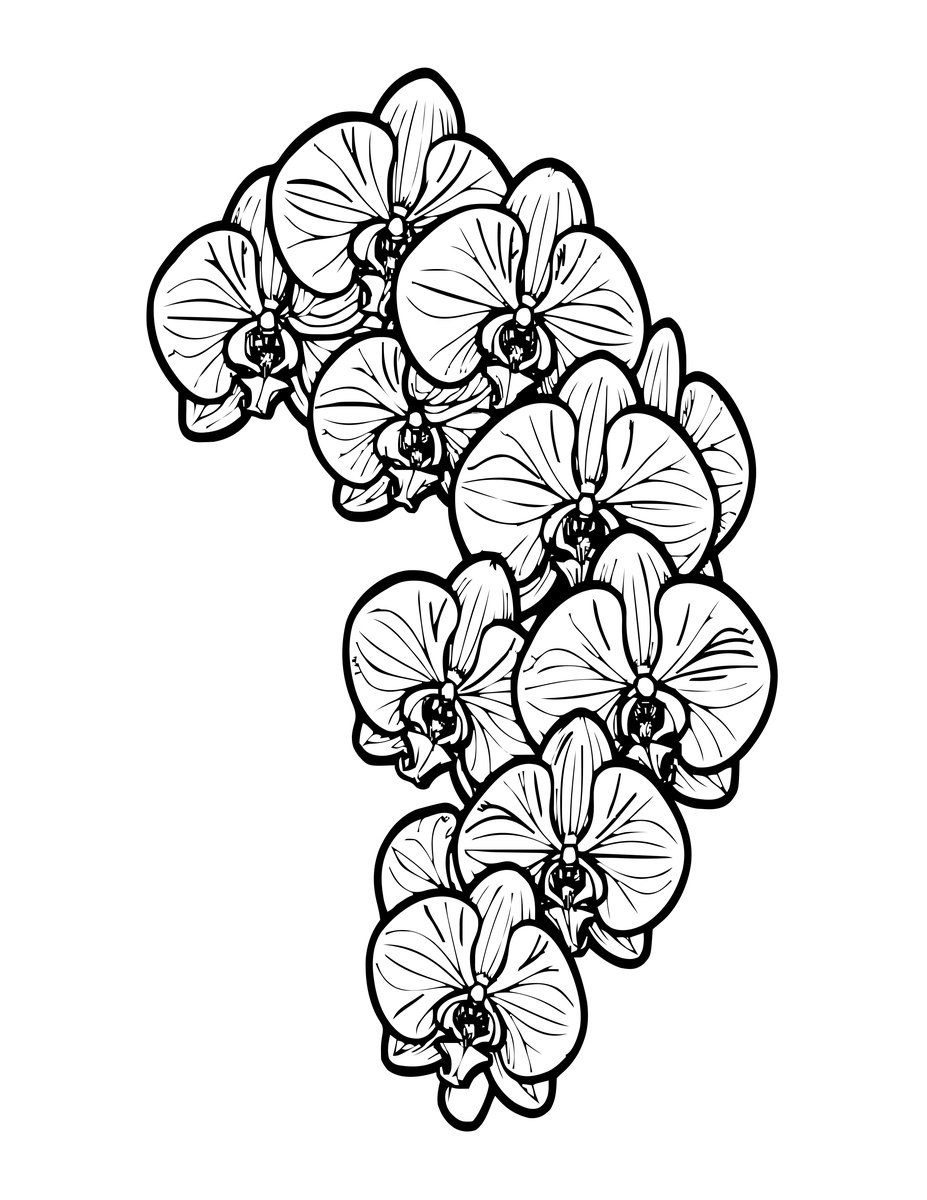 Orchid Cascade - free printable coloring page
