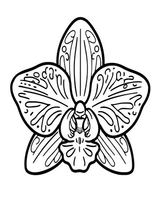 Masdevallia - Free printable coloring page
